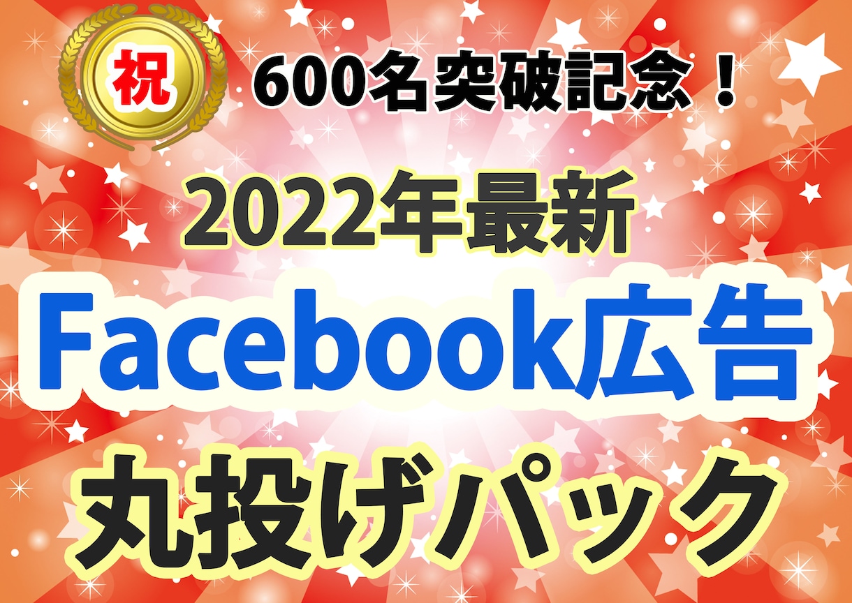 利用者５００名！facebook広告全て代行します 「オールインワン！facebook広告丸投げパック」 イメージ1