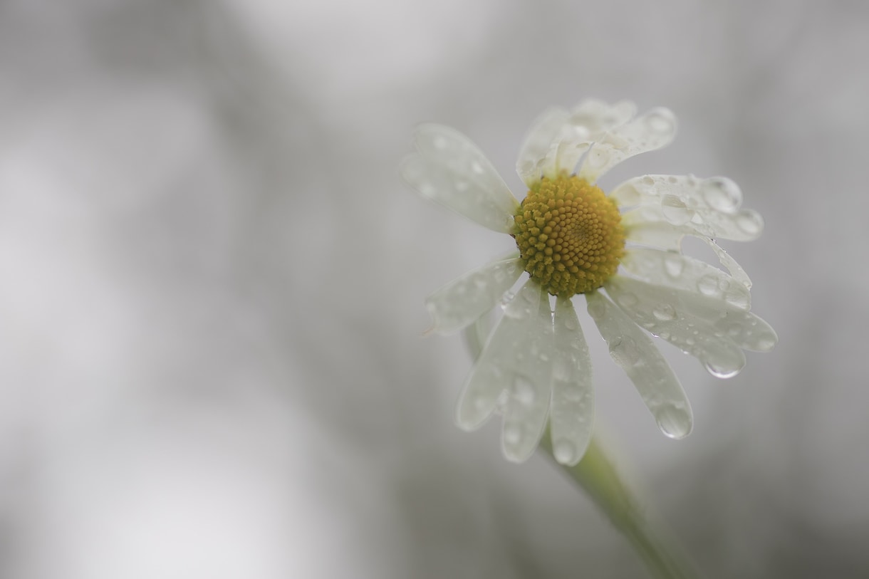 泣きたい位　辛いお話お聞きします 貴方は弱くない!!　泣いてもいいんだよ!!　大丈夫!! イメージ1
