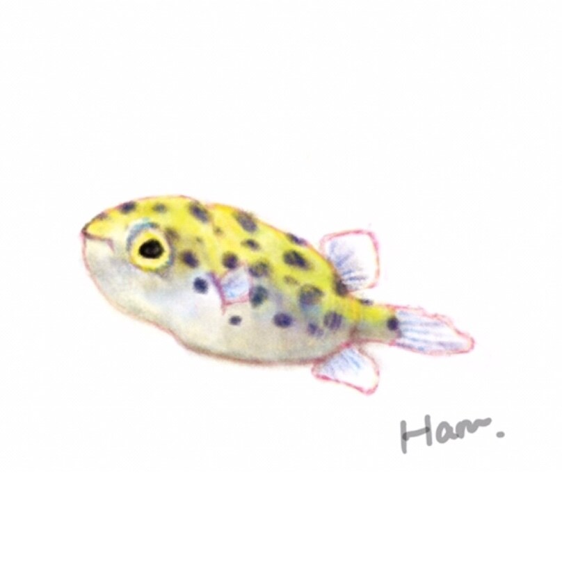 程よくリアルで暖かみのあるイラスト描きます 商用案件から個人観賞用まで 生き物を中心に描きます イメージ4