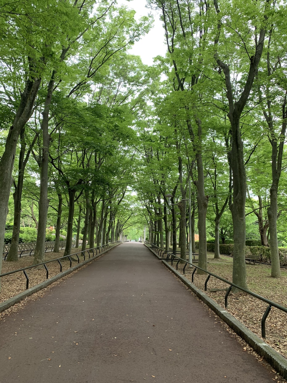 1日で漠然とした不安を形にします ☁️もやっとした不安を僕に思ったままの言葉で話してください イメージ1