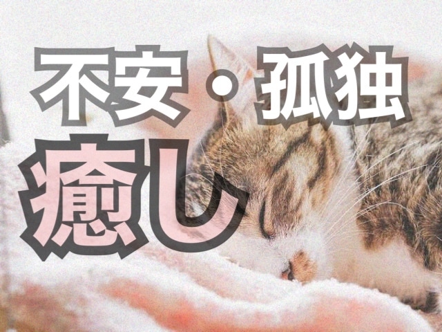 元精神病院勤めの私がいくらでもお話聴きます 吐き出したいとき寂しいときそんなあなたを癒しボイスで癒します イメージ1