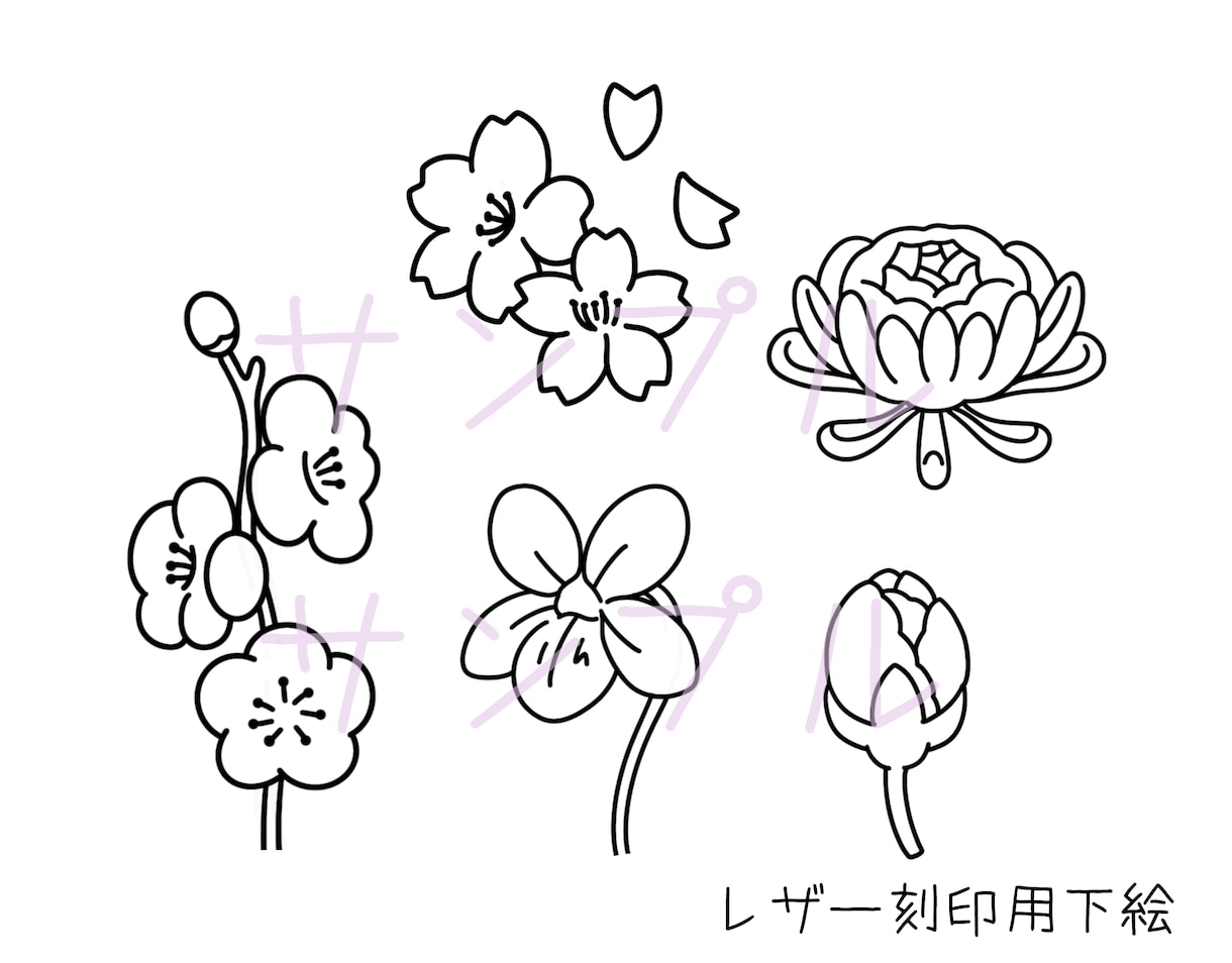 お花や葉っぱ、植物のイラスト優しいタッチで描きます ナチュラル〜リアルタッチのテイストでお花や植物をお描きします イメージ6