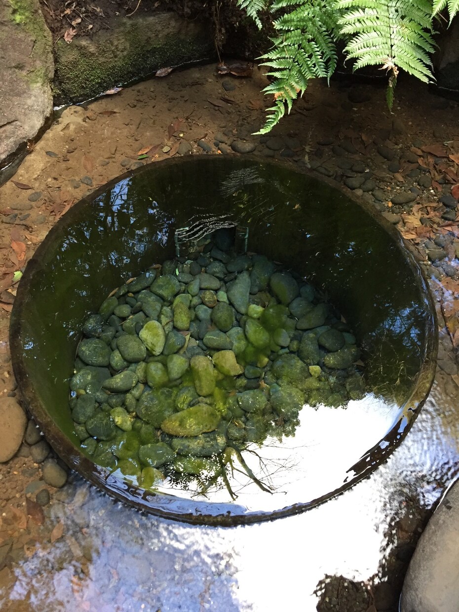 今日より明日を少しでも穏やかに、心の浄化いたします 恋愛や家庭の悩みを吐き出してください イメージ3