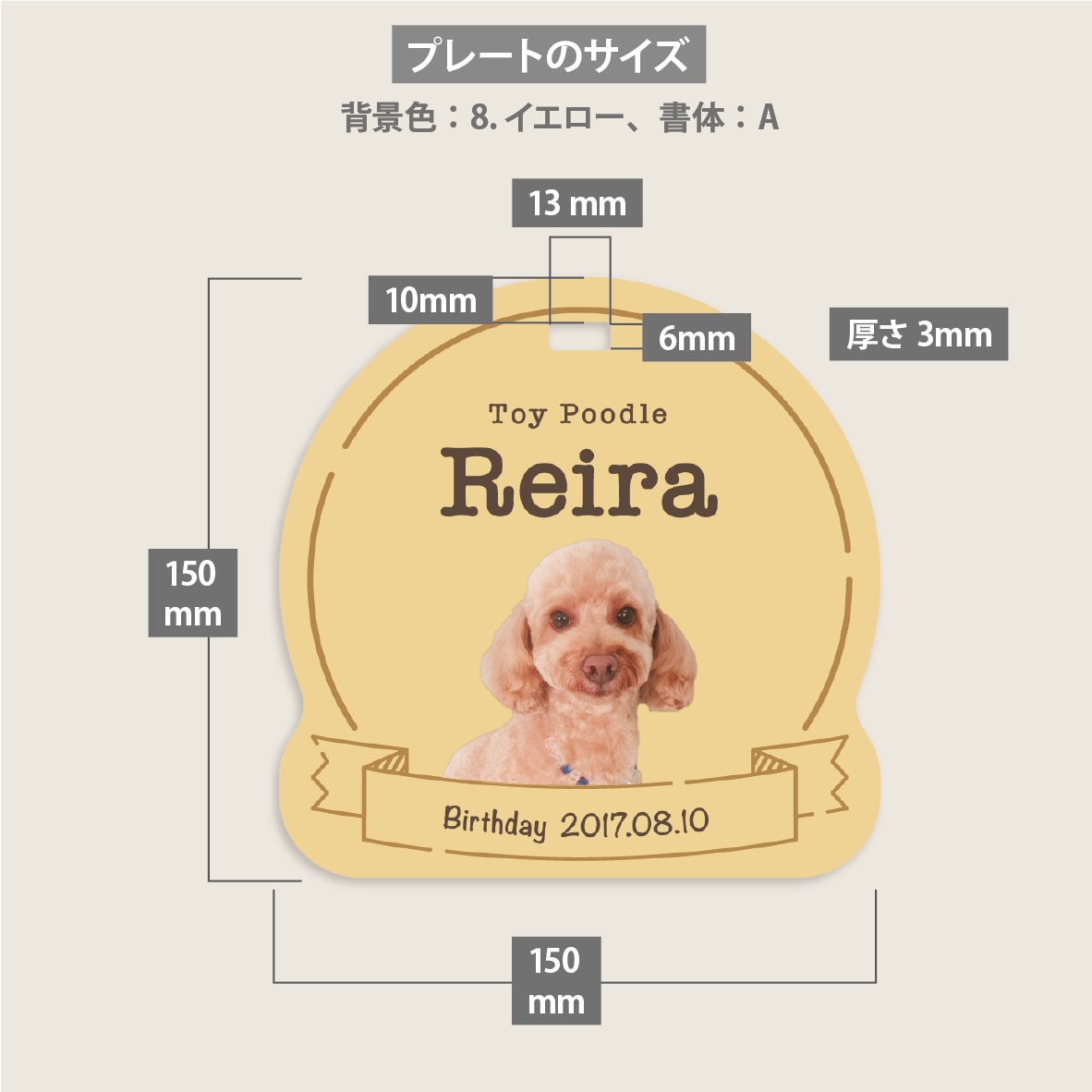 写真入りペットのカート用ネームプレートを作成します 色と書体が選べる！デザイナーがセミオーダーで作成！送料込 イメージ10