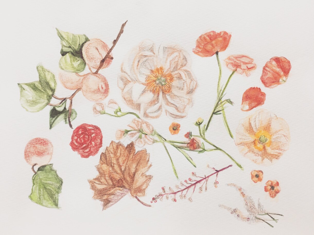 本の挿絵のような、繊細でおしゃれなイラスト描きます 動物や植物など、西洋の絵本の挿絵のような雰囲気のあるイラスト イメージ8