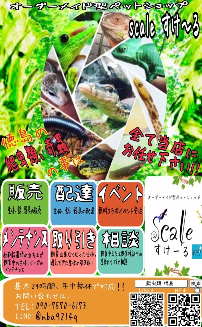 爬虫類に関する飼育の仕方や立ち上げ方等お教えします 爬虫類専門店が飼育の仕方や立ち上げ方等をアドバイスします！ イメージ2