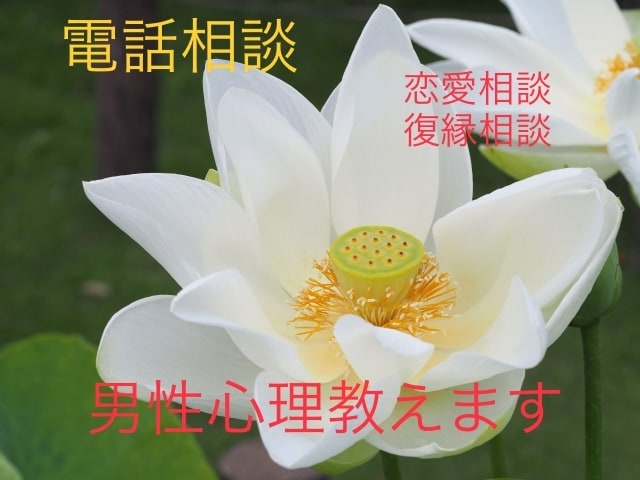 男性心理をお教えします 上級心理カウンセラー兼占い師がお相手の気持ちを教えます イメージ1