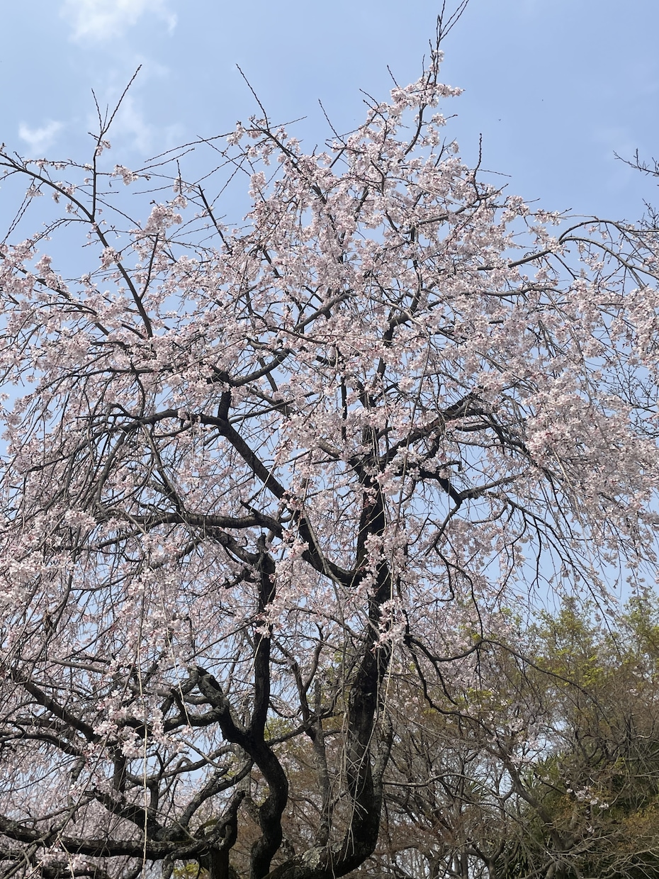 チャネリング✖️タロット⭐︎恋愛などお悩み占います 出会い時期/相手の気持ち/転職など イメージ5