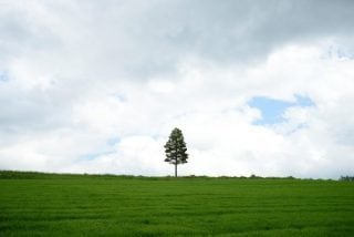 北海道旅行計画のお手伝いをします 思い出に残る素敵な旅をしたい方！ イメージ2