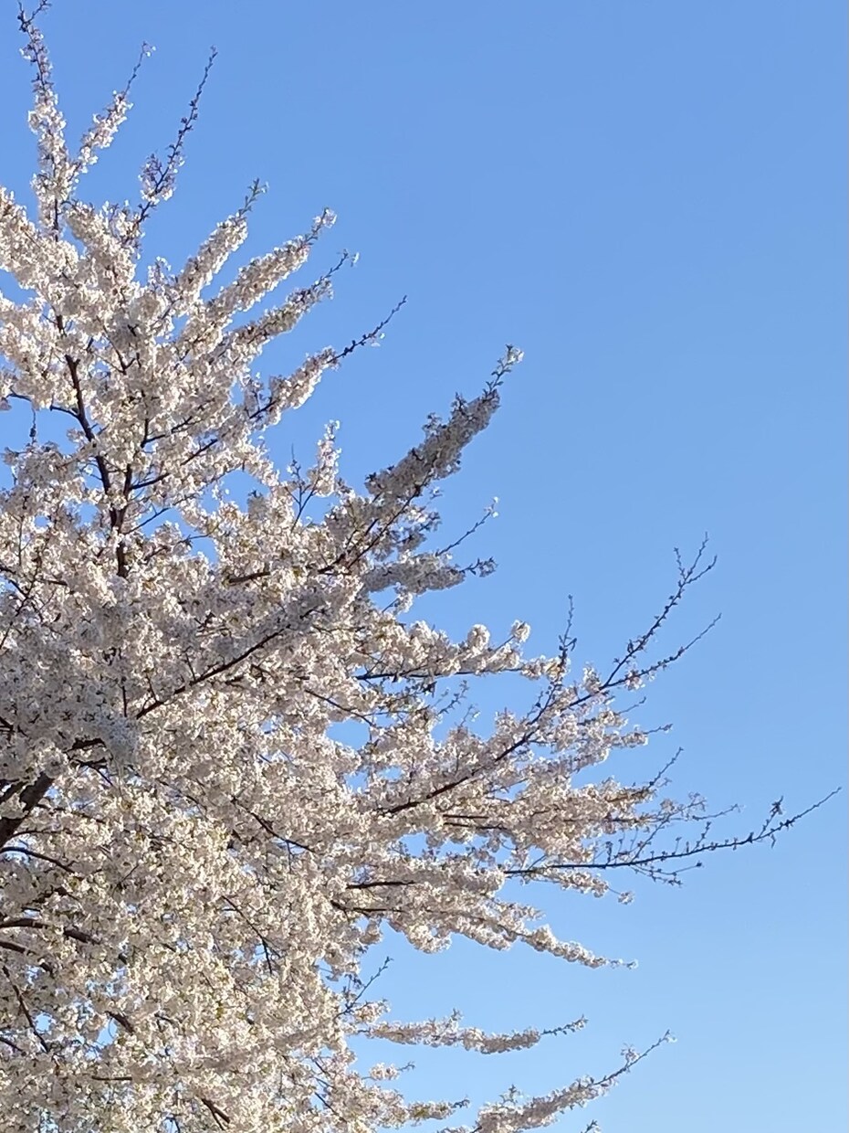 お話し聞きます ☆難しいことはわからないけど、とにかく話してみませんか？ イメージ2