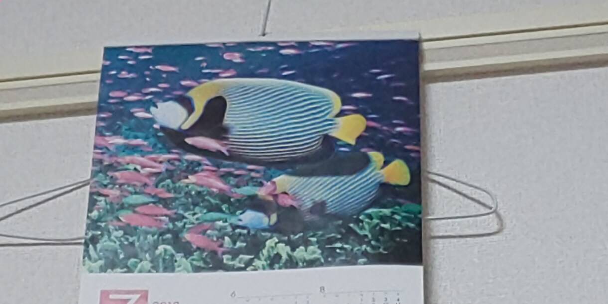 保険の相談聞きます 保険の相談承ります！気軽に相談下さい(*^^*) イメージ1