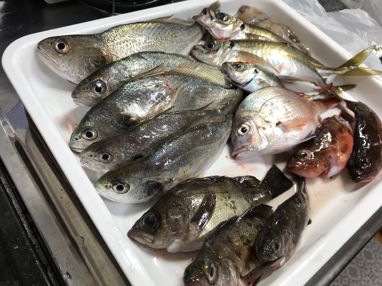はじめての魚釣り！をお手伝いします 魚釣り、何からすれば良いの？をレクチャーします！ イメージ5