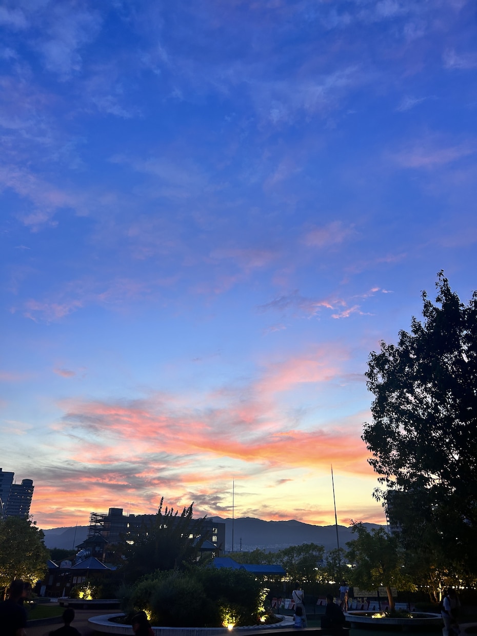 空の風景画をできます 夕焼けや青い夏の空などが少しだけあります。値下げ可能です。 イメージ1