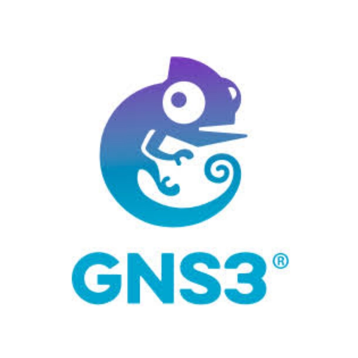 GNS3のセットアップ方法教えます 初心者でも大歓迎です！！☆評価がないのでこの値段でできます☆ イメージ1