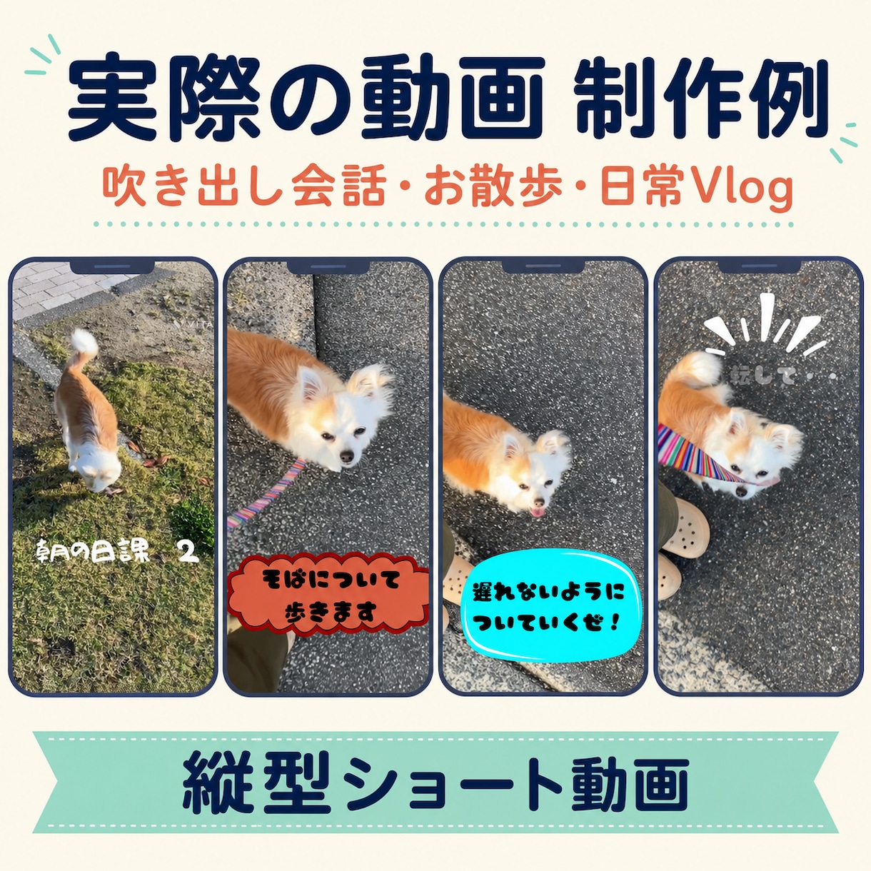 犬や猫の日常をかわいいリール動画に編集します 大切なペットの表情やしぐさを楽しく伝えます イメージ2