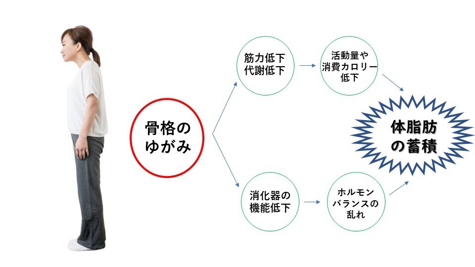 現役トレーナーが1ヶ月ダイエットサポートします 激しい運動・食事制限なし！体質から変える美骨格トレーニング イメージ2