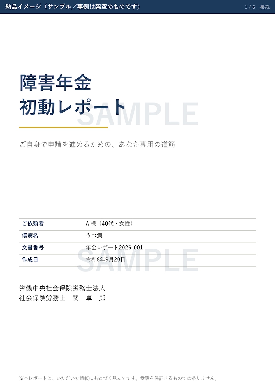障害年金の申請　ご自身で進める道筋を書面にします 社労士が作成｜初診日の証明から申立書の骨組みまで イメージ2
