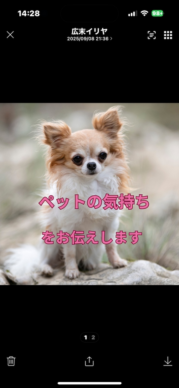ペットの気持ち素直にお伝えします 言葉はなくても毎日ちゃんと伝えている イメージ1