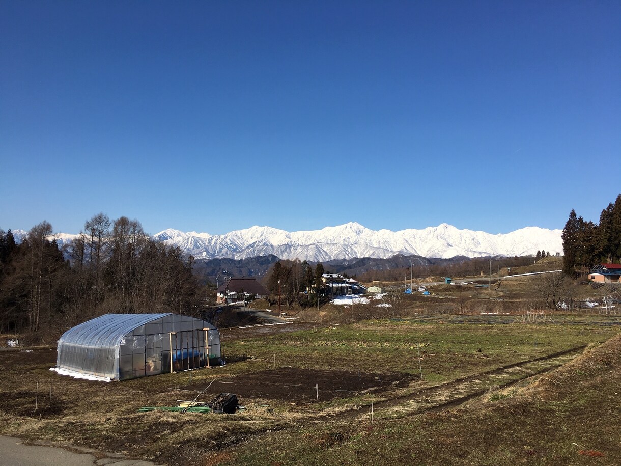 田舎暮らしを検討中の方のお悩みお聞きします 信州の里山で古民家改修、狩猟、平飼い養鶏、有機農業の経験あり イメージ3