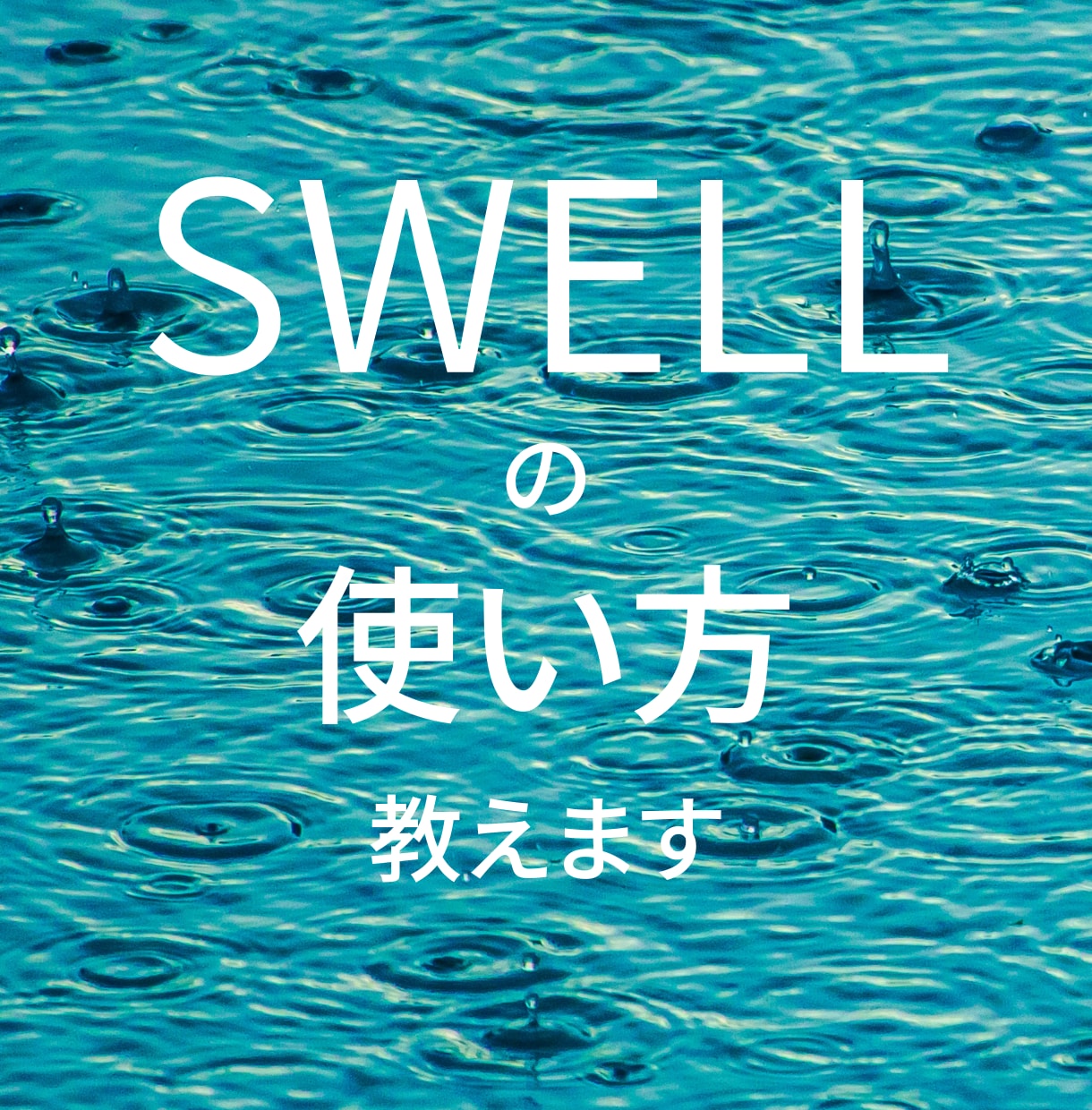 Swellの使い方教えます Swellでの細かい設定など詳しく教えます。 イメージ1