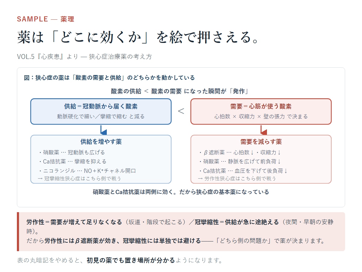薬剤師国家試験対策を教えます 国家試験290点↑の現役薬剤師が勉強のポイントを教えます！ イメージ5