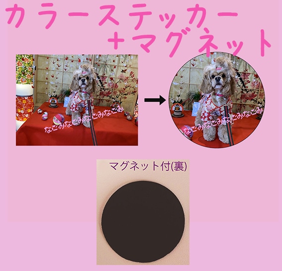 あなただけのオリジナルステッカーお作りします アウトドア、キャラクターステッカーその他ご相談下さい。 イメージ9