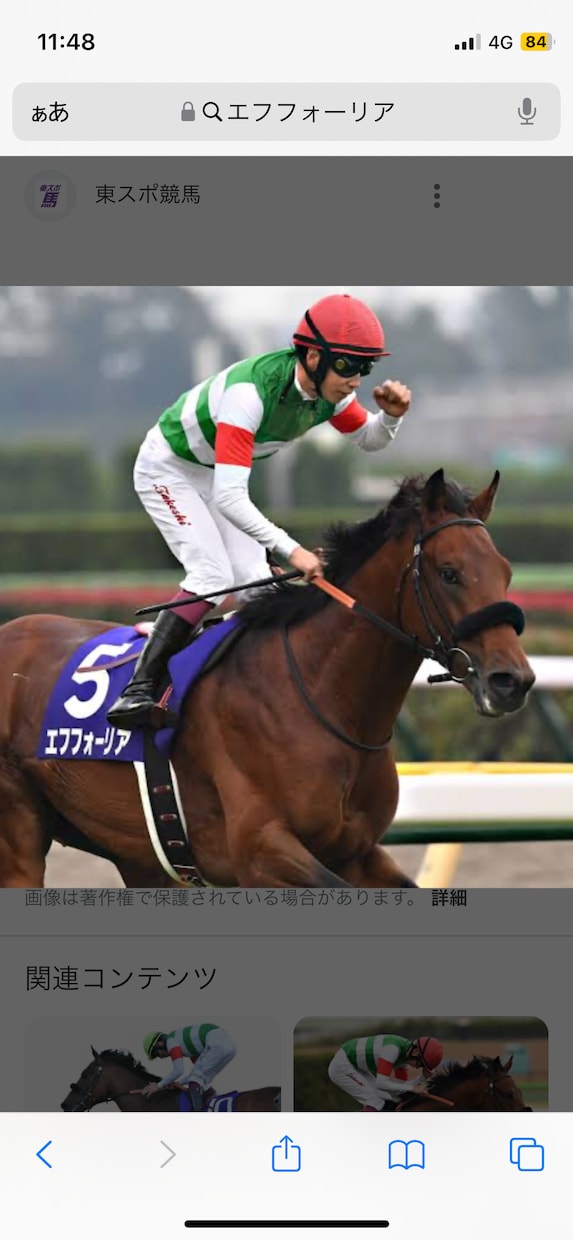 競馬の独自の見解と本命馬、推奨馬予想します あなたの予想を手助けします。展開から予想してます地方競馬も。 イメージ9