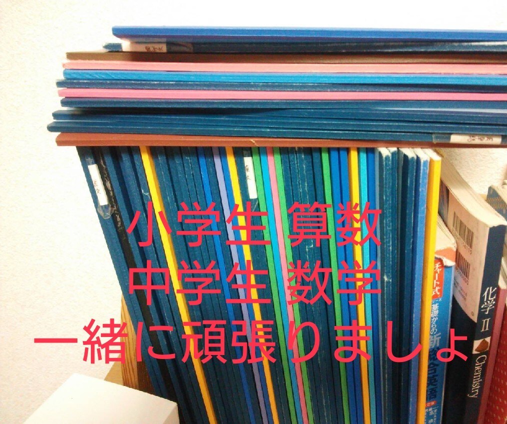 小学生、中学生の学習支援をします わからない問題の解説、弱点を提供！ イメージ2