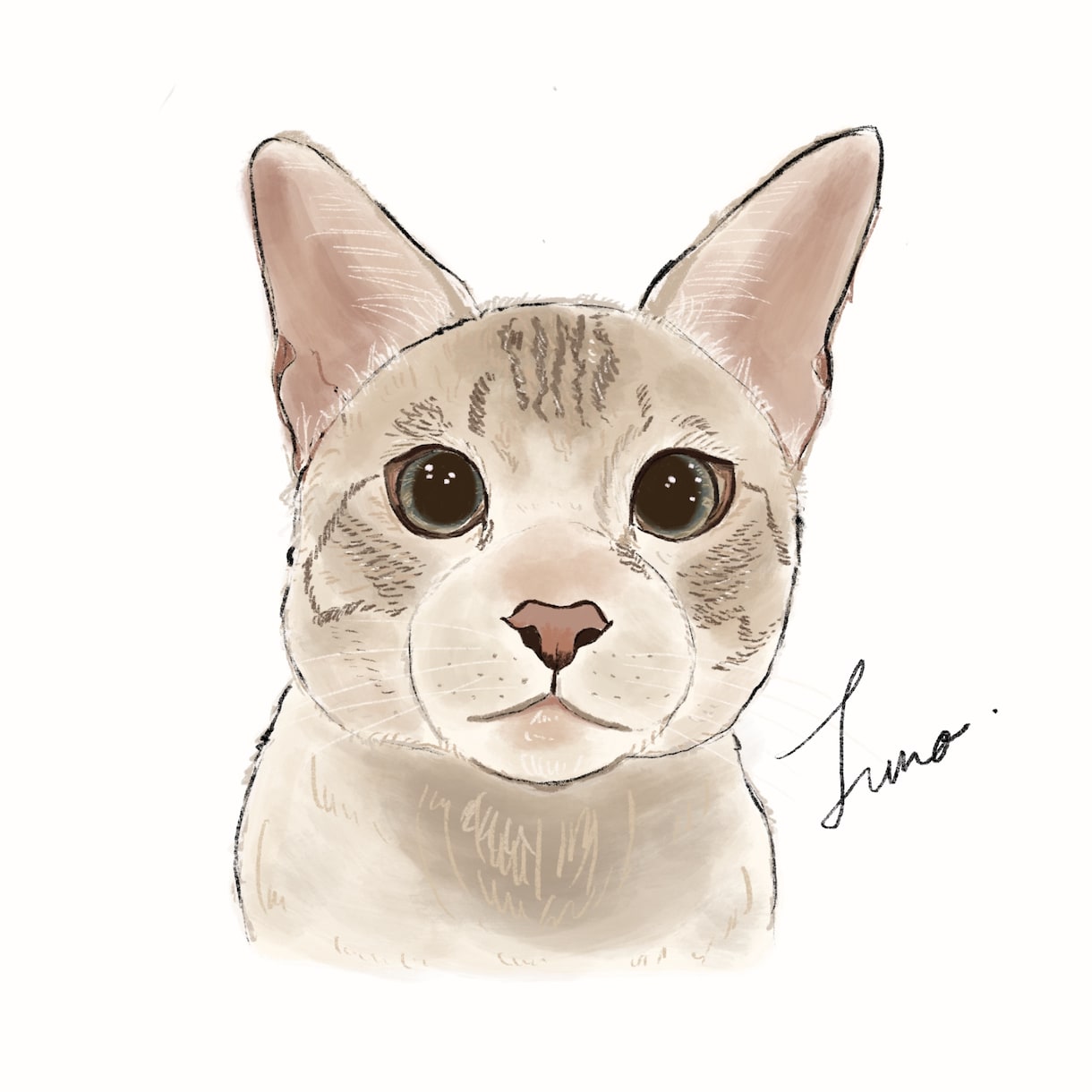 猫ちゃんのイラストをふんわり可愛いくお描きします Cat Portrait Illustration イメージ1