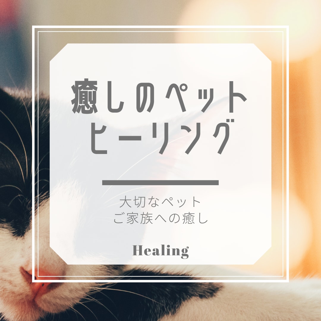 大切な家族（ペット）にご褒美⭐️ヒーリング致します エネルギーセラピー癒しのヒーリング⭐️大切な家族へリラックス イメージ1