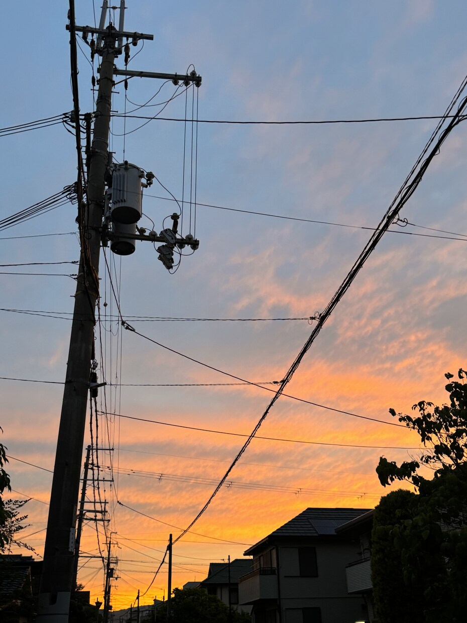 自然・食べ物等の写真を提供、代行させていただきます 目に入ったその一瞬を写真に収めることが好きです。 イメージ5