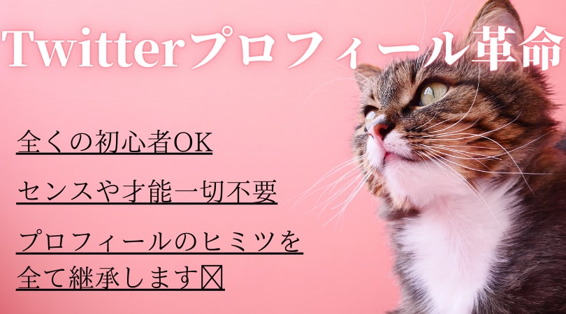 懇切丁寧にプロフィール添削をします 簡単にプロフ作成ができる教科書もプレゼント イメージ1