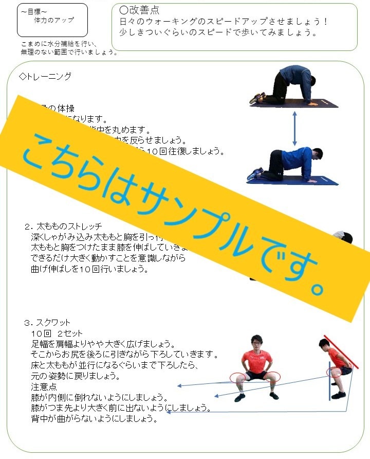 オーダーメイドのトレーニングプログラム作成します トレーニング初心者の方向け！目的にあったメニューを作成します イメージ3