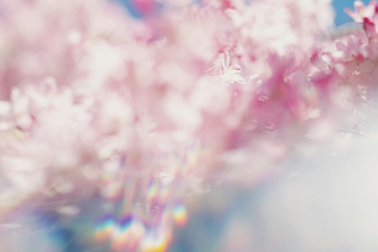 たわいのない話がしたいな…◎その気持ち満たせます 悩みはないけどちょこっと話したい/暇つぶし/リラックスタイム イメージ6