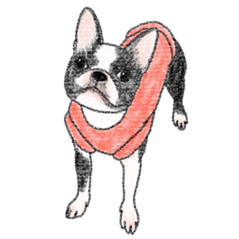 大切なペットのイラストをかわいくお描きします ペットのイラストをかわいくデフォルメしてお描きします！ イメージ3