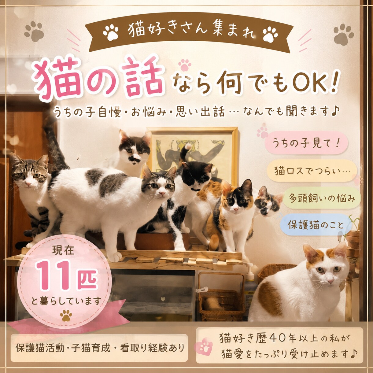 猫好きさん集まれ♪うちの子自慢聞きます うちの子自慢大歓迎です♪現在11匹の猫たちと暮らしています イメージ1