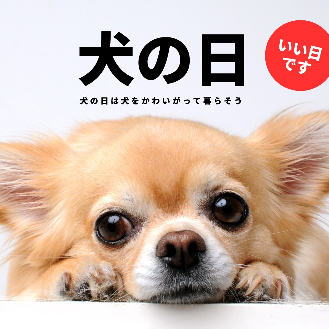 ココナラの出品の際の画像デザインをします イラストから写真まで、皆様のご希望通りに。 イメージ2