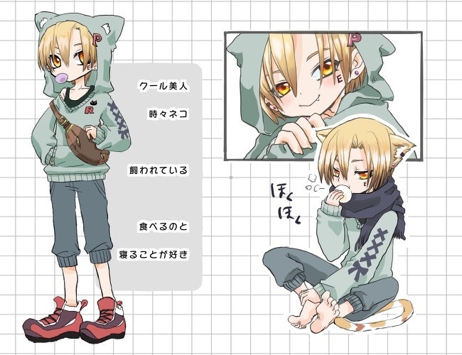 キャラシ・こだわりの一枚絵を描きます あなたのオリジナルのキャラクターシートやこだわりのイラストを イメージ3