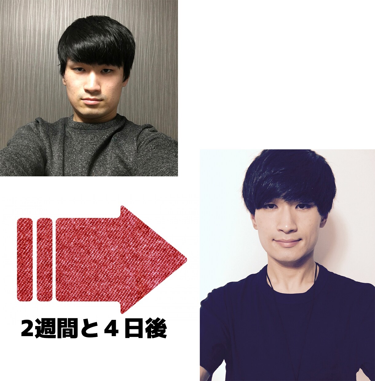 休止中とさせていただいております 休止中とさせていただいております イメージ1