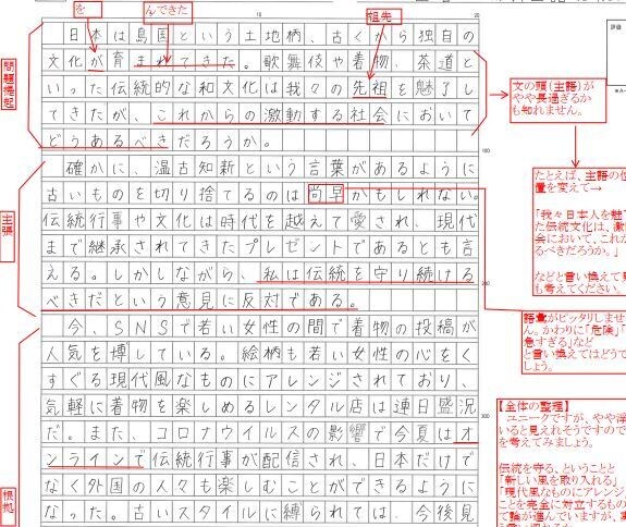２日で返却　小論文（過去問含む）の添削をします 質問回数は無制限です。遠慮することなく質問してください イメージ3