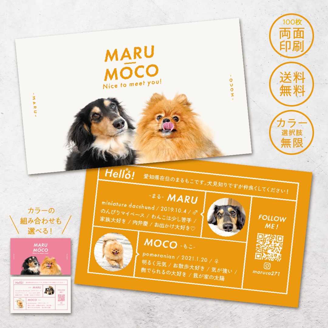 シンプル×スタイリッシュなペット名刺制作します 印刷代込み100枚！オフ会・イベントで大活躍♩ イメージ1