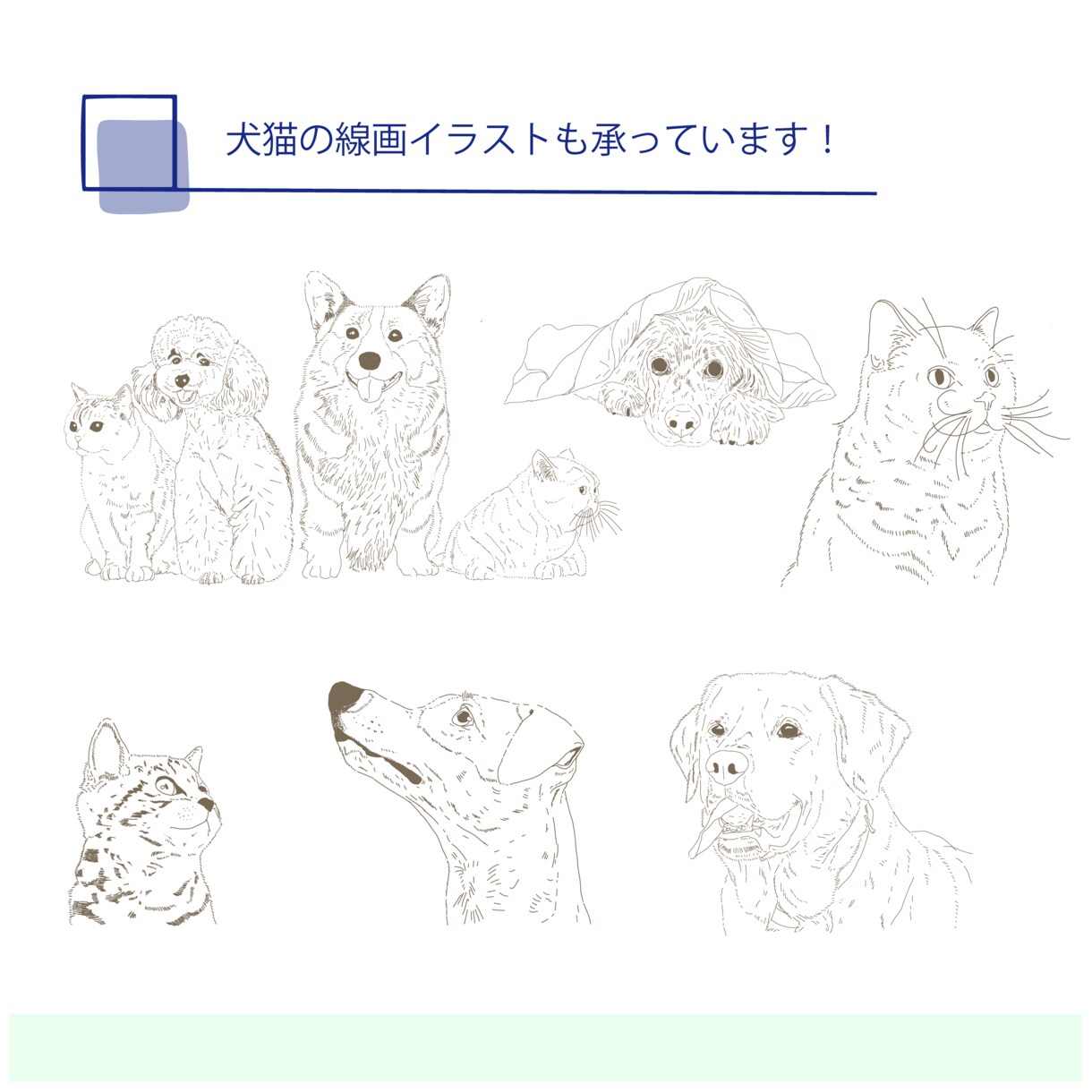 ペットのお写真を愛らしい線画イラストに仕上げます ”小動物好きが丁寧に繊細に描く唯一無二のペットイラスト！” イメージ4