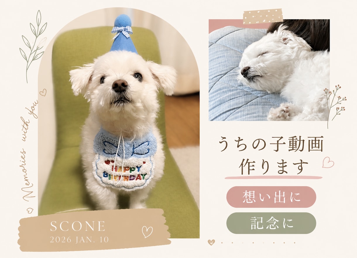 うちの子動画作ります 大切なワンちゃん、ねこちゃん想い出動画作りませんか イメージ1