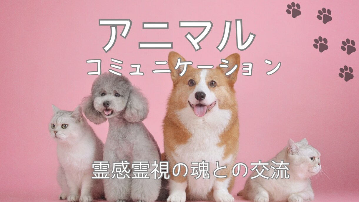 お空に渡ったペットや動物たちの魂をお繋ぎします あなたの気にしていることを聞いてみましょう。 イメージ1