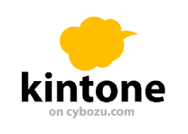kintonのアプリケーション作成します 様々な日常業務の効率化、またそのデータを共有したい方必見!! イメージ1