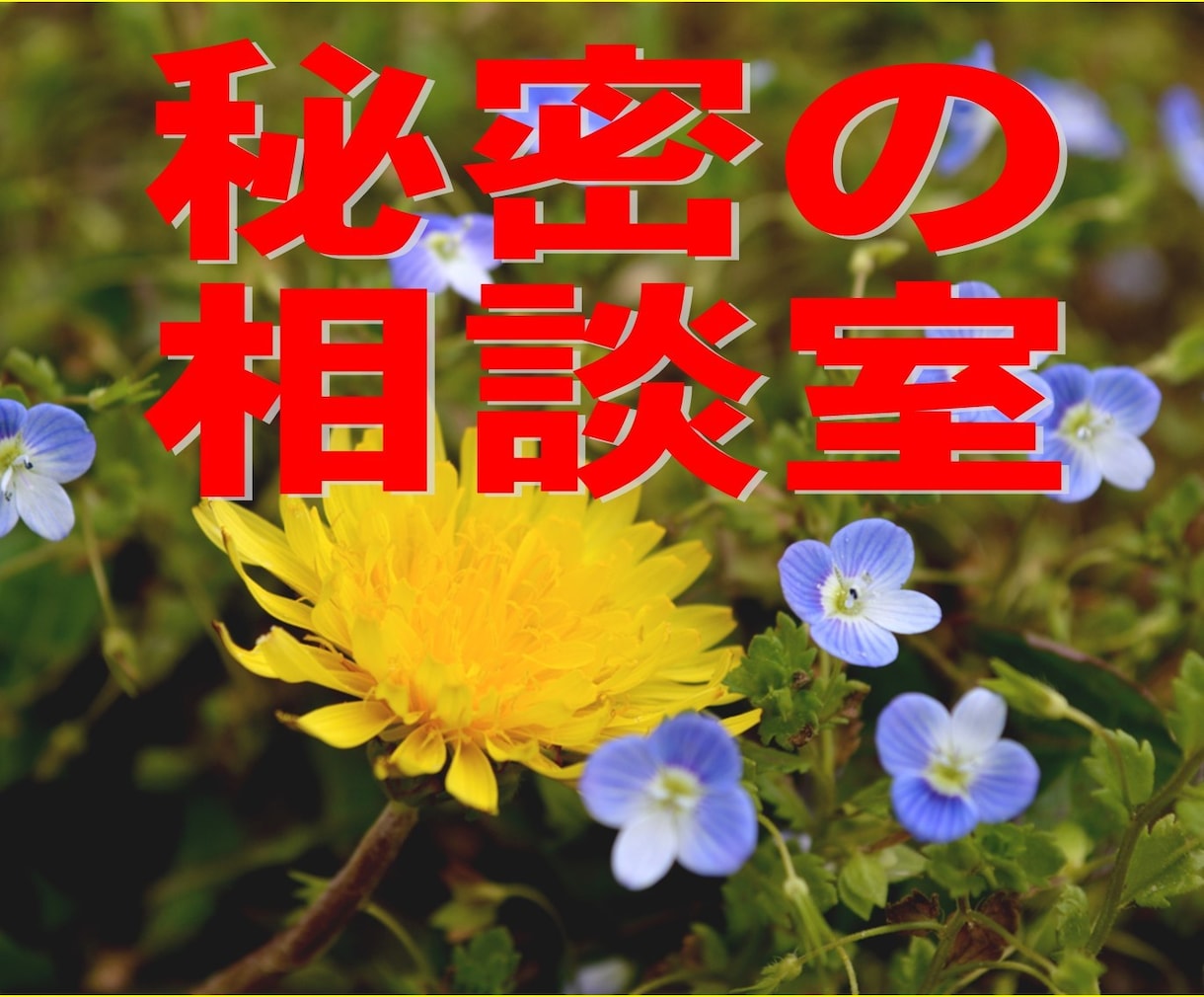 恋愛・身体改造・性癖等・愚痴　秘密の相談にのります あなたが秘密にしているお悩み事を遠慮なくお話ください。 イメージ1
