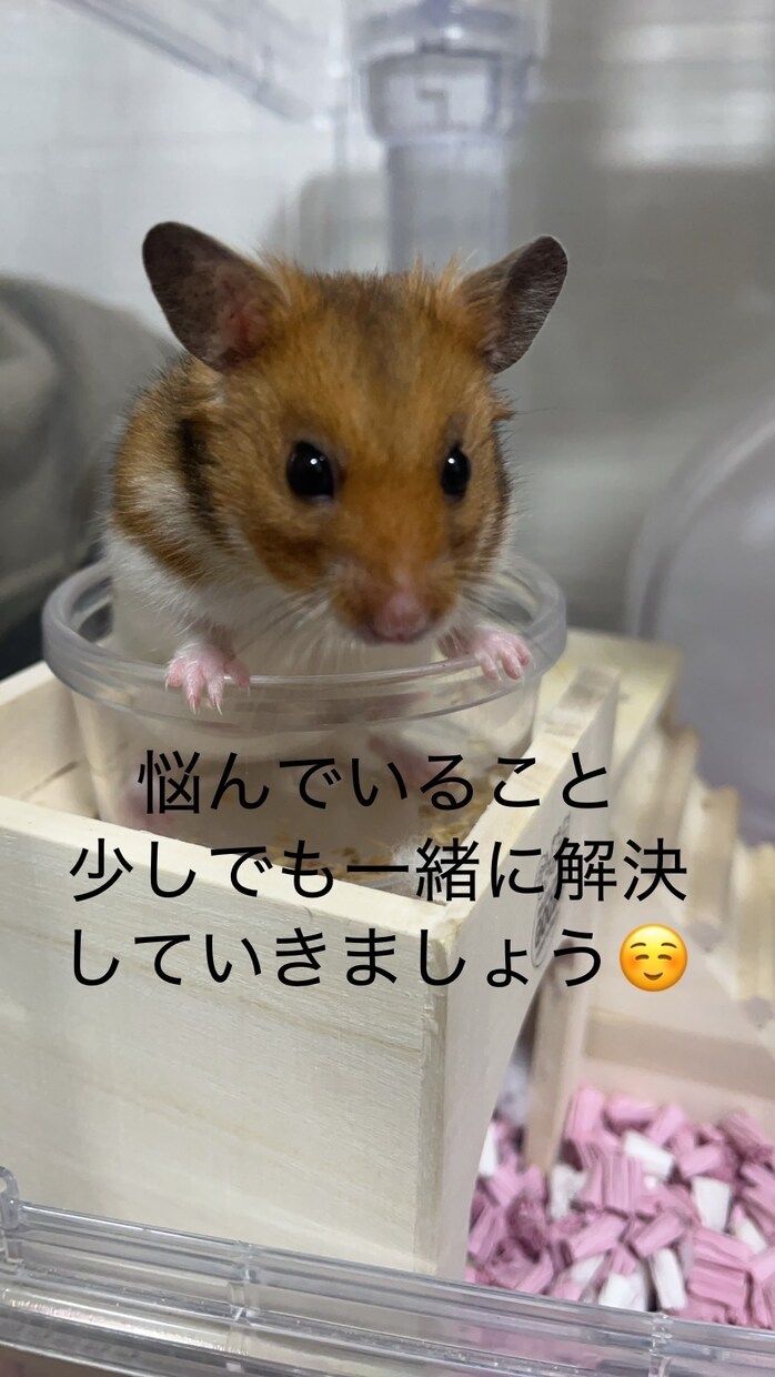 老人介護が必要な方との関わり方を一緒に考えます 1人で悩んでいる方、一緒に考えていきましょう。 イメージ1
