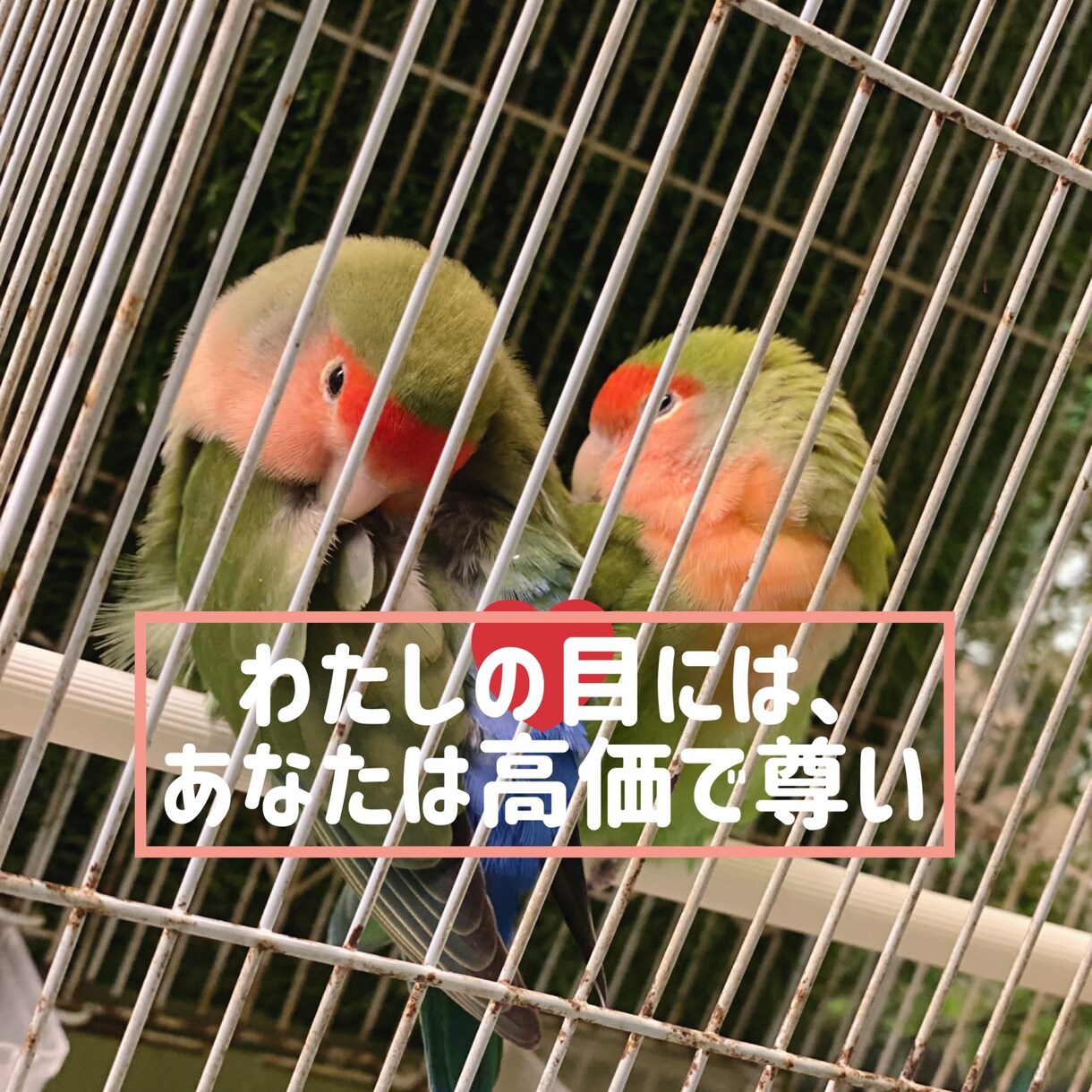 9:00〜22:00の間で無制限でお話します 反応が欲しい！メッセージが欲しい！という方におすすめです☆ イメージ3