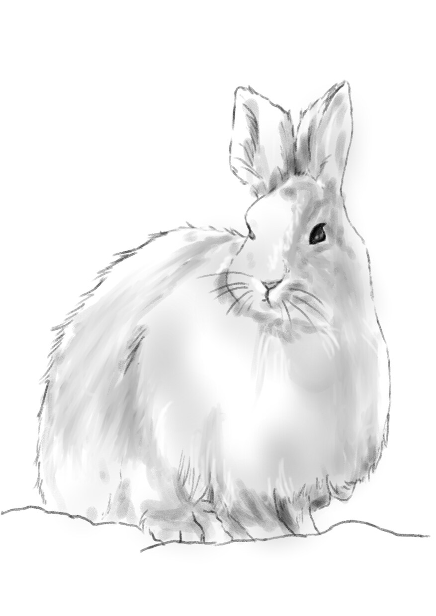どうぶつのイラスト描きます 二次利用◎かわいいうちの子のグッズ作りませんか？ イメージ5