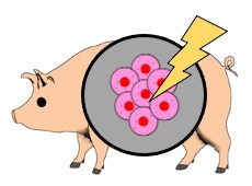 発表スライドのイメージをイラスト化します 載せたい情報をイラスト化することで完成度の高いスライドに！ イメージ1